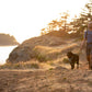 Lifestyle image of the Front Range Lead, clipped into a dog's harness while the dog and their owner walk over some dry terrain, with a body of water and trees in the background.