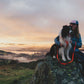 Lifestyle image of the Front Range Lead, clipped into a dog's harness while the dog and their owner sit on the rock of a peak.