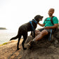 Lifestyle image of the Front Range Lead, clipped into a dog's harness while the dog and their owner sit on a rock.