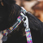 Lifestyle image of the Front Range Lead, showing the lead clipped to a matching collar, with Ruffwear logo.