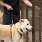 Lifestyle image for the Front Range Short Lead in Basalt Grey, clipped to a dog harness as the dog looks through a fence.