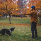 Lifestyle image of the Gnawt-a-Cone, with a collie dog waiting to catch the toy, while their owner throws it up into the air. The background is a autumn park.