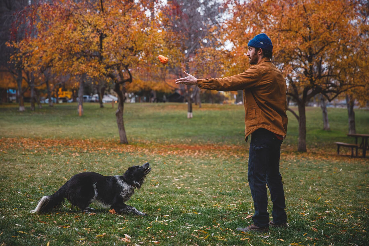 Lifestyle image of the Gnawt-a-Cone, with a collie dog waiting to catch the toy, while their owner throws it up into the air. The background is a autumn park.