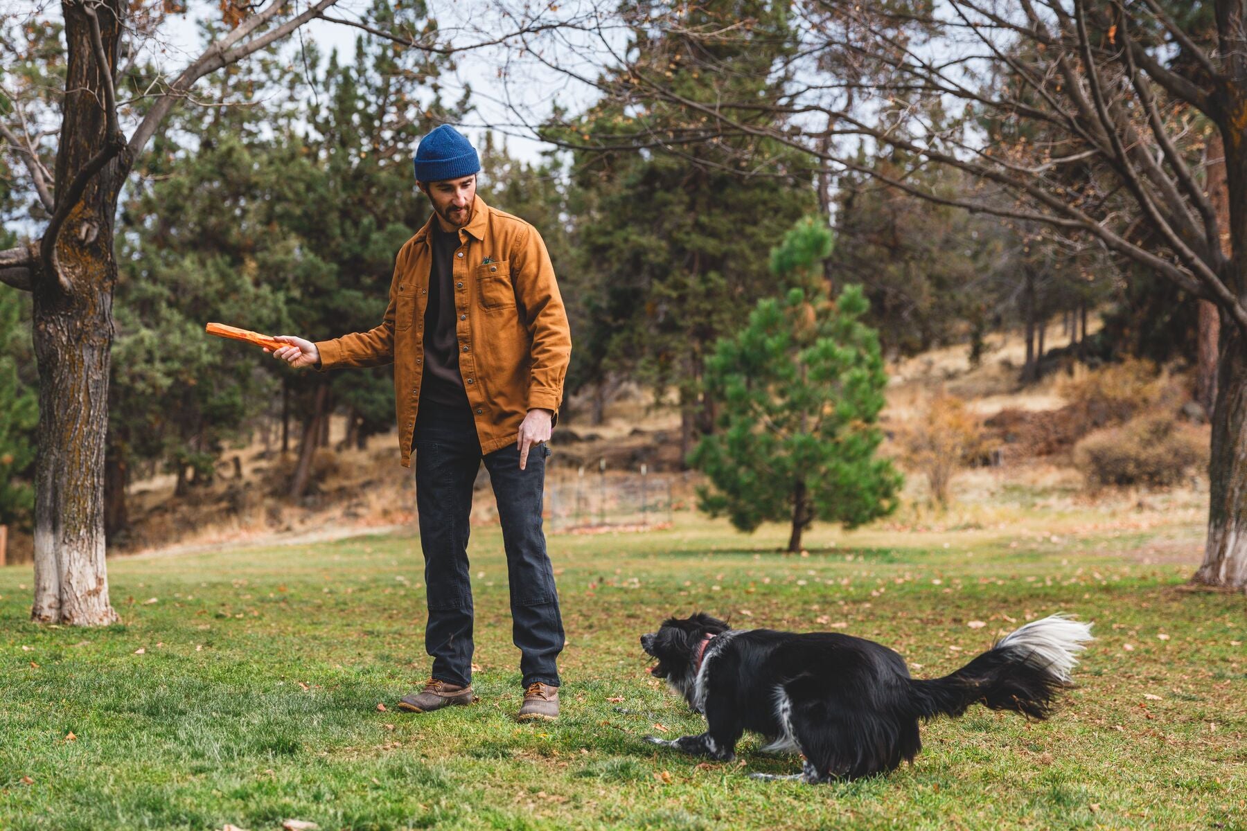 Lifestyle image of the Gnawt-a-Stick being held above a dog, in a forest environment.