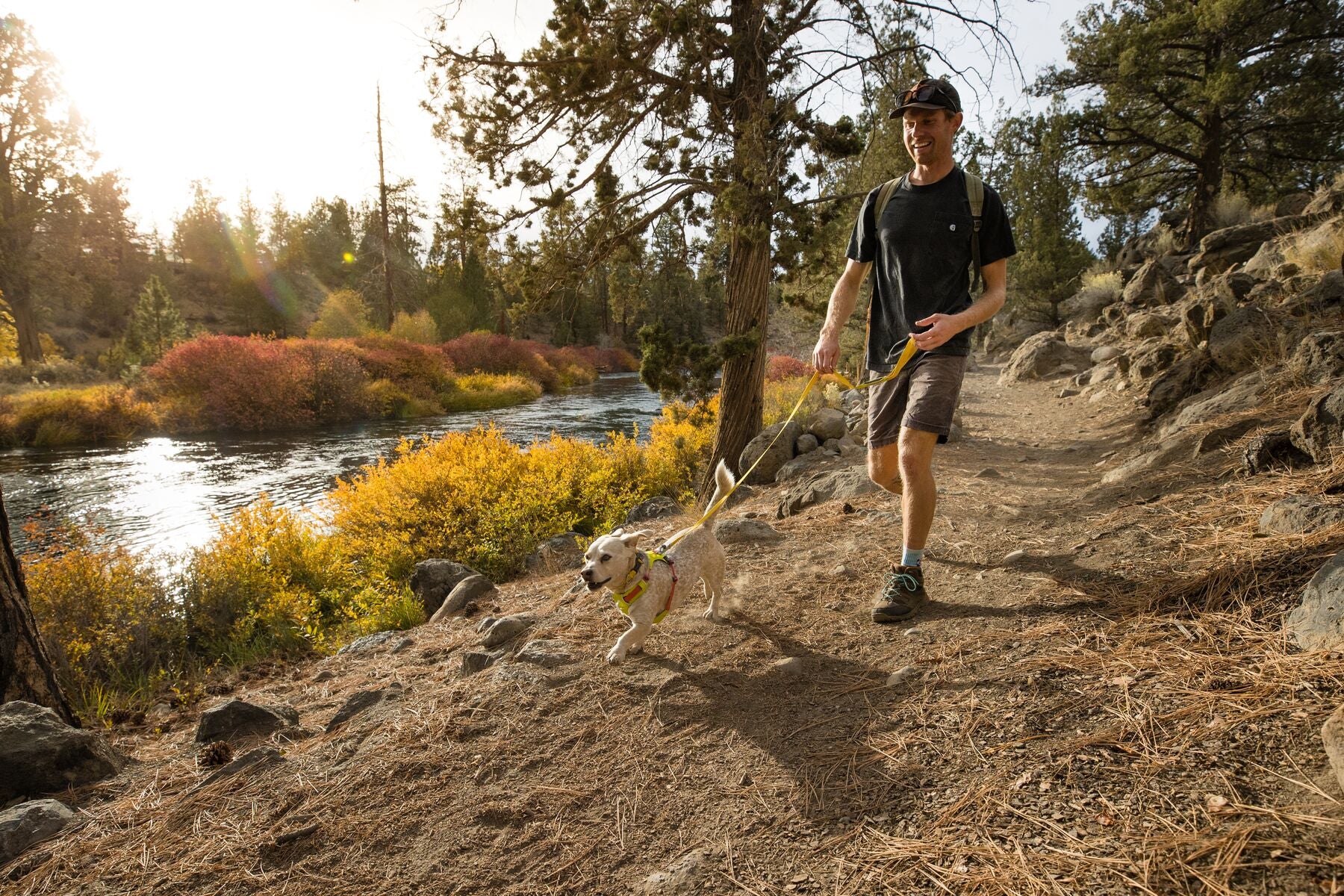Lifestyle image of the Hi & Light Harness, with a man walking his pet dog as they run alongside him.
