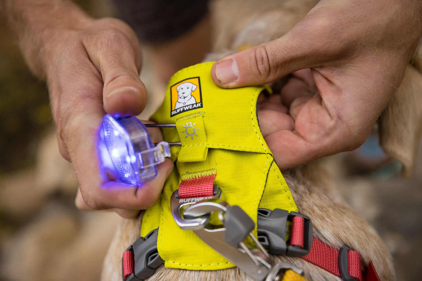 Lifestyle image of the Hi & Light Harness, with a light being clipped to a harness.