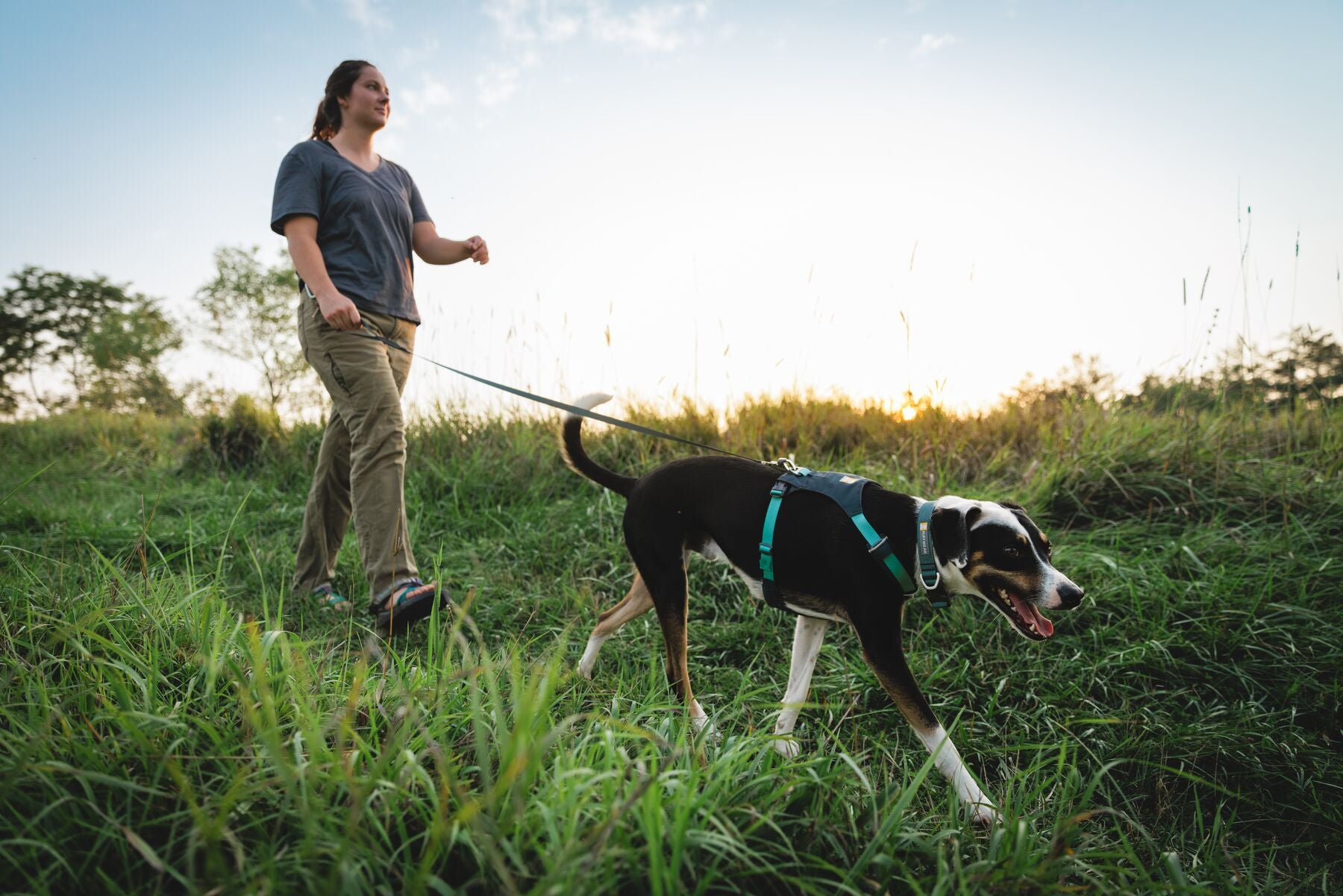 Lifestyle image of the Hi & Light Harness, with a dog walking ahead of a woman through the grass.