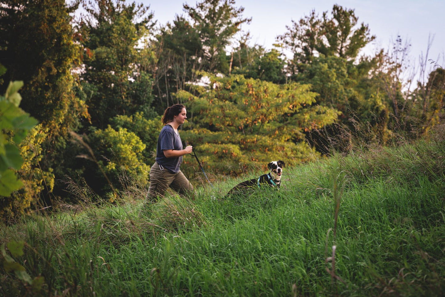 Lifestyle image of the Hi & Light Harness, with a dog walking ahead of a woman through the grass.