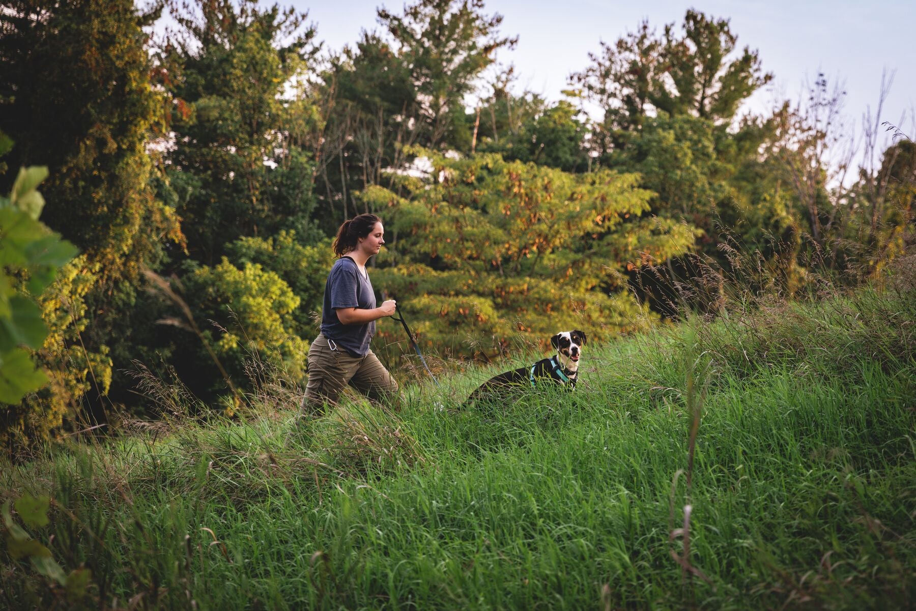 Lifestyle image of the Hi & Light Harness, with a dog walking ahead of a woman through the grass.
