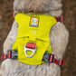 Lifestyle image of the Hi & Light Harness, worn on the back of a dog.