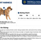 Sizing guidance for the Hi & Light harness.