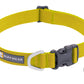 Stock image of the Hi & Light Lichen Green collar, a lightweight, everyday collar, on a white background.