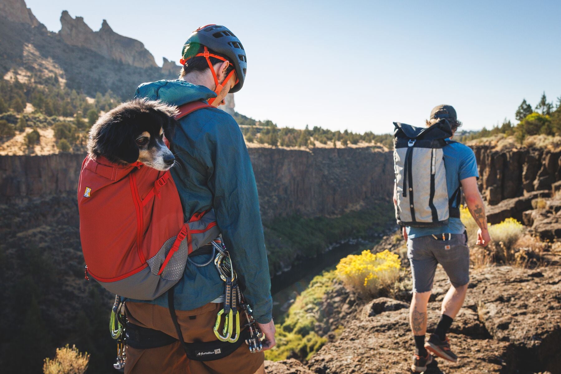 Lifestyle image of the Hitch Hiker Carrier, showing a dog on the back of someone doing a hike, with other people hiking alongside some rough terrain.