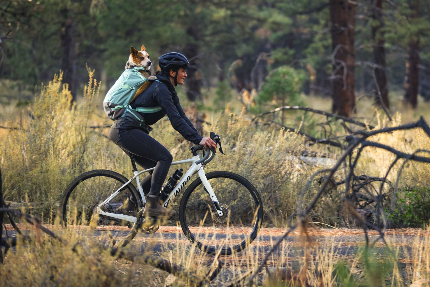 Lifestyle image of the Hitch Hiker Carrier, showing someone riding a bicycle with a dog on their back.