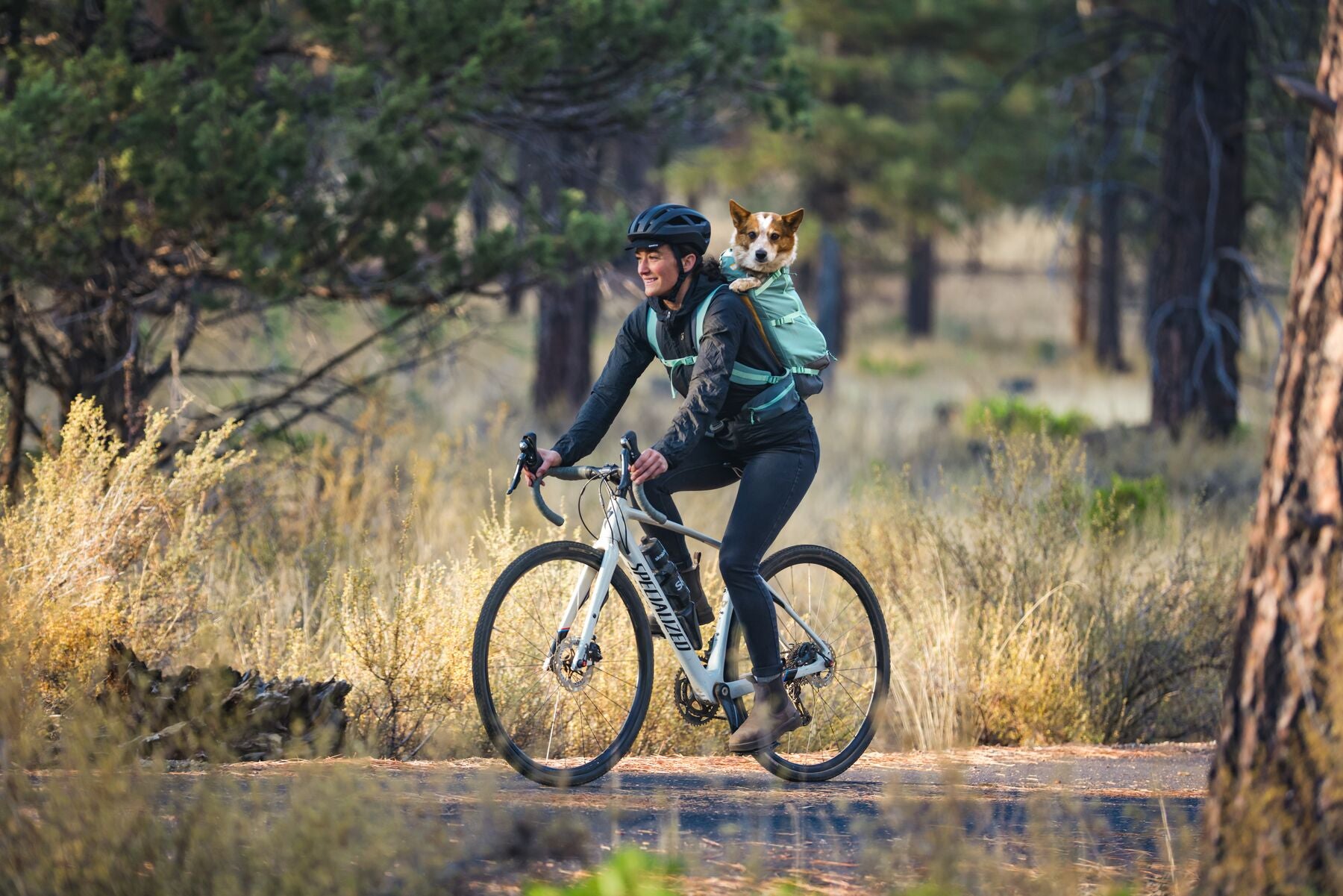 Lifestyle image of the Hitch Hiker Carrier, showing someone riding a bicycle with a dog on their back, surrounded by trees and brush.