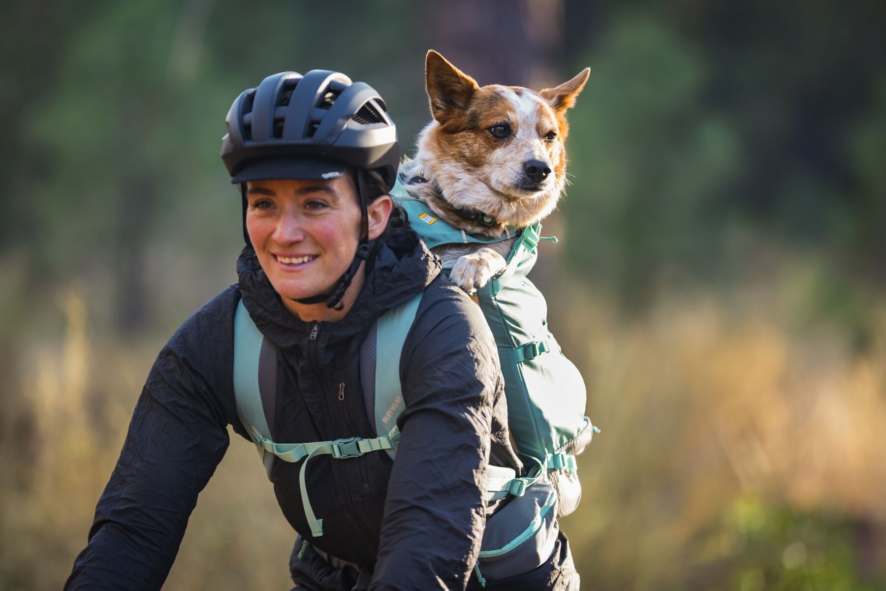 Lifestyle image of the Hitch Hiker Carrier, showing a dog on the back of someone riding a bicycle.