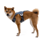 The Load-Up dog car Harness on a dog.
