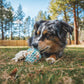 Ruffwear - Morel Mushroom - Treat Toy