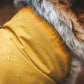 Ruffwear - Sun Shower Jacket *NEW YEAR SALE*VERY LIMITED STOCK ONLY*