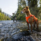 Ruffwear - Web Master Harness