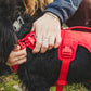 Ruffwear - Web Master Harness