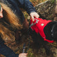 Ruffwear - Web Master Harness