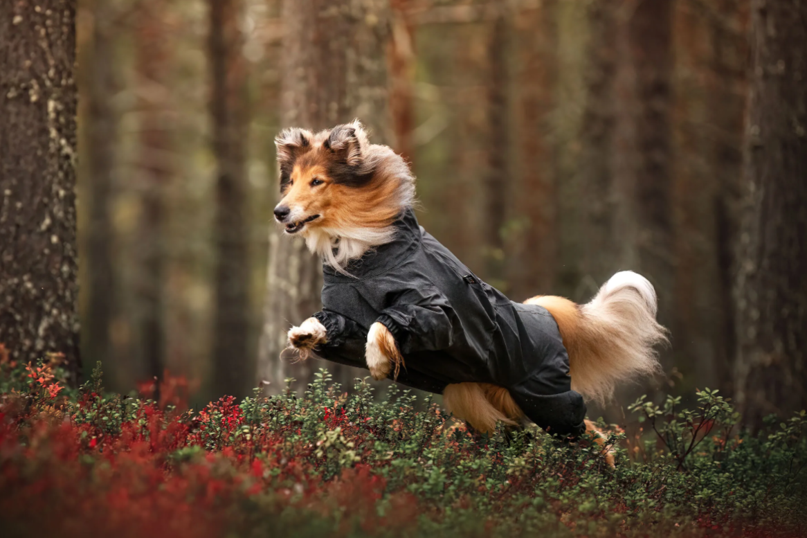 Rukka - Flash Overall *NEW YEAR SALE*FINAL STOCKS*