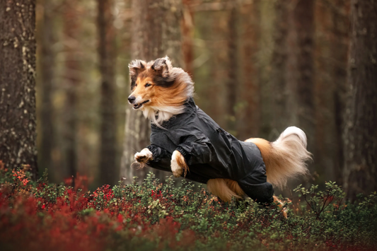 Rukka - Flash Overall *WHILE STOCKS LAST*