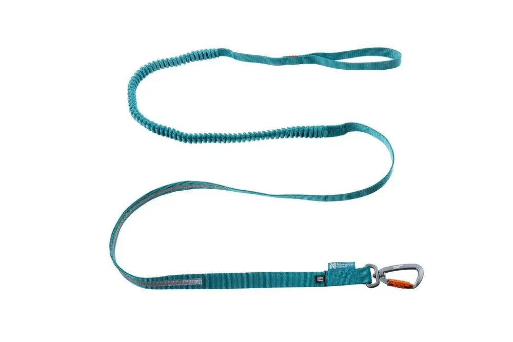 Stock image of the Touring Bungee Lead, a teal dog lead with a carabiner and handle, with a white background.