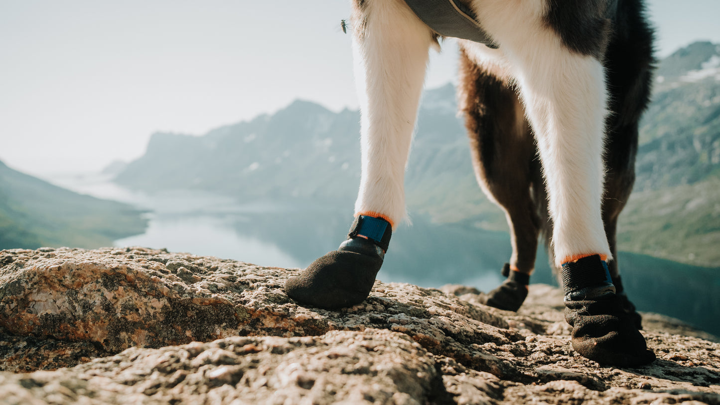 Non-stop - Protector Booties (4 Pack)