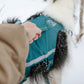 Person grabbing a handle of the Ramble Dog Harness Long, with a snowy background.