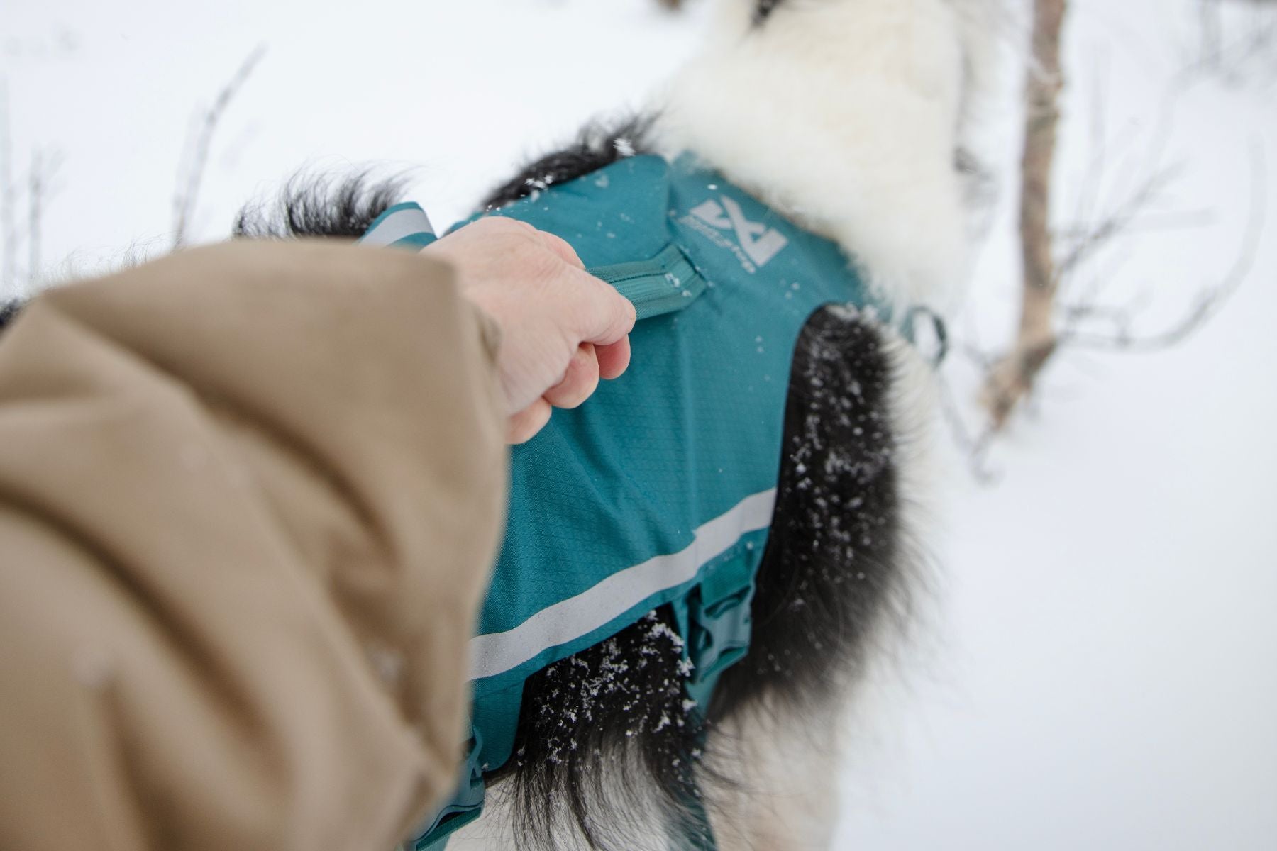 Person grabbing a handle of the Ramble Dog Harness Long, with a snowy background.