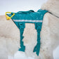Dog wearing a teal Ramble Dog Harness Long with reflective stripes on a snowy background.