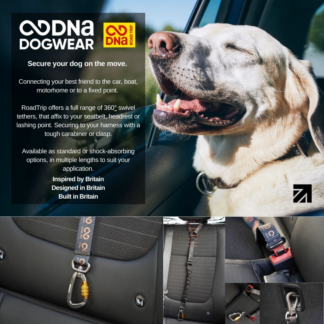 DNA -  Road Trip Shock Headrest Tether