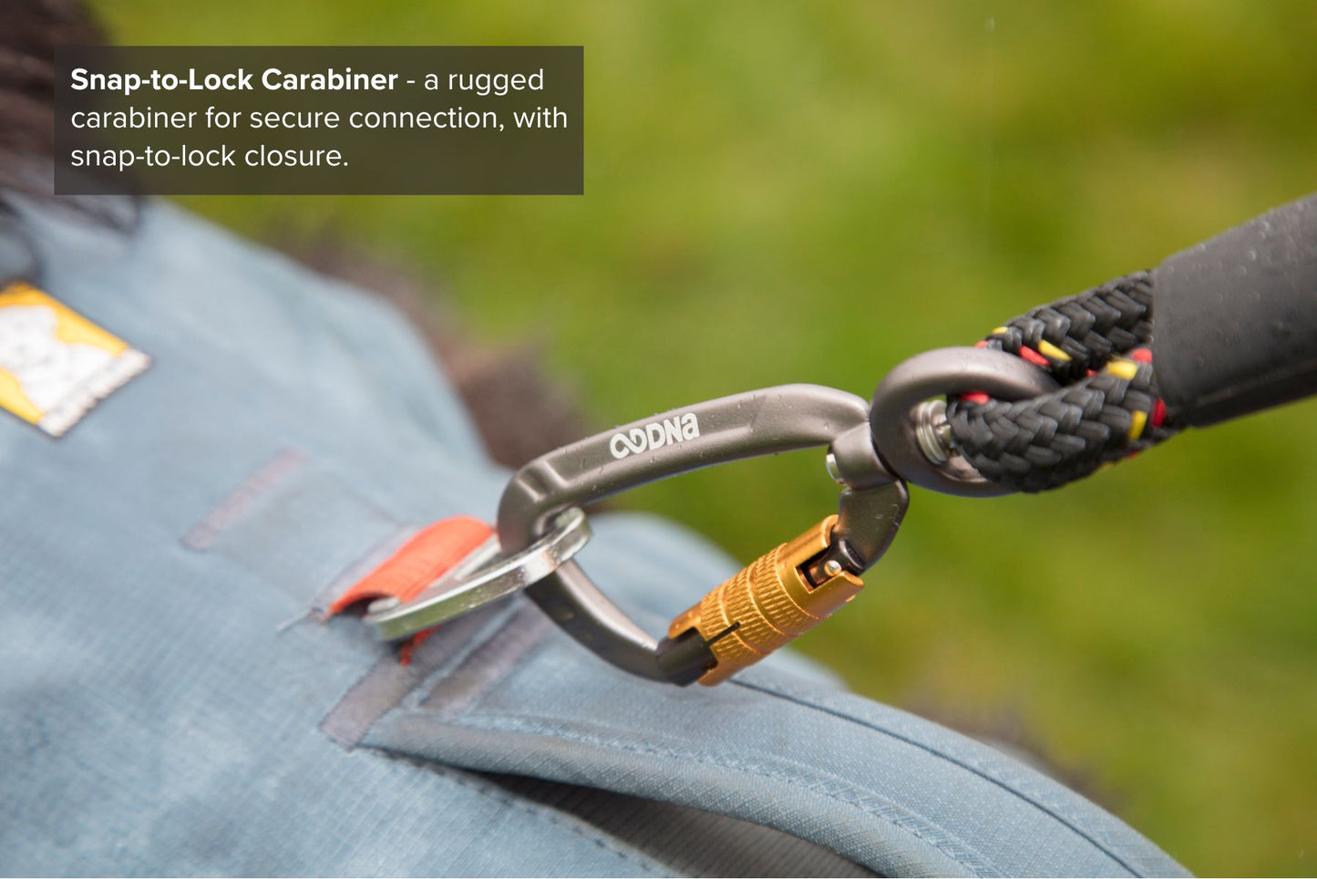 DNA - Ascent Rope Lead