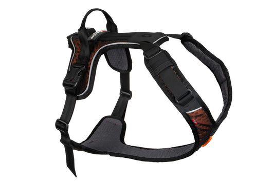 Non-stop - Rock Harness