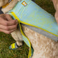 Ruffwear - Swamp Cooler Zip Vest *CLEARANCE*FINAL FEW LEFT*