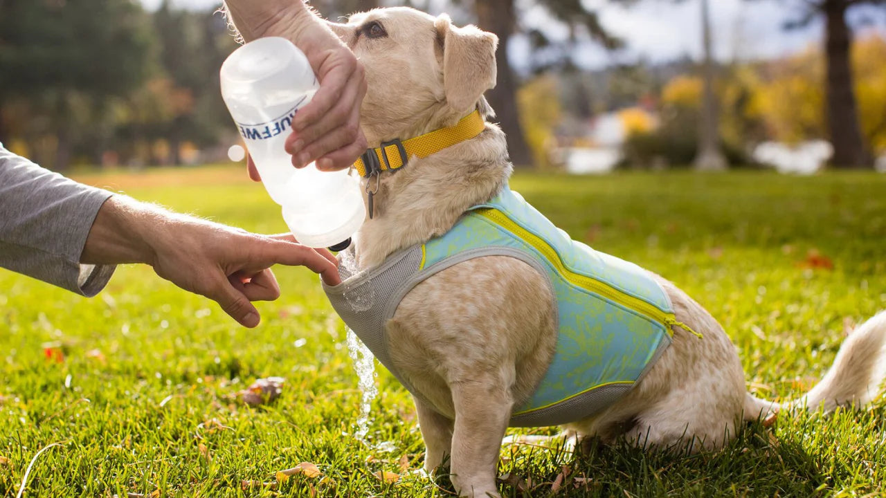 Ruffwear - Swamp Cooler Zip Vest *CLEARANCE*FINAL FEW LEFT*