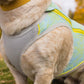 Ruffwear - Swamp Cooler Zip Vest *CLEARANCE*FINAL FEW LEFT*