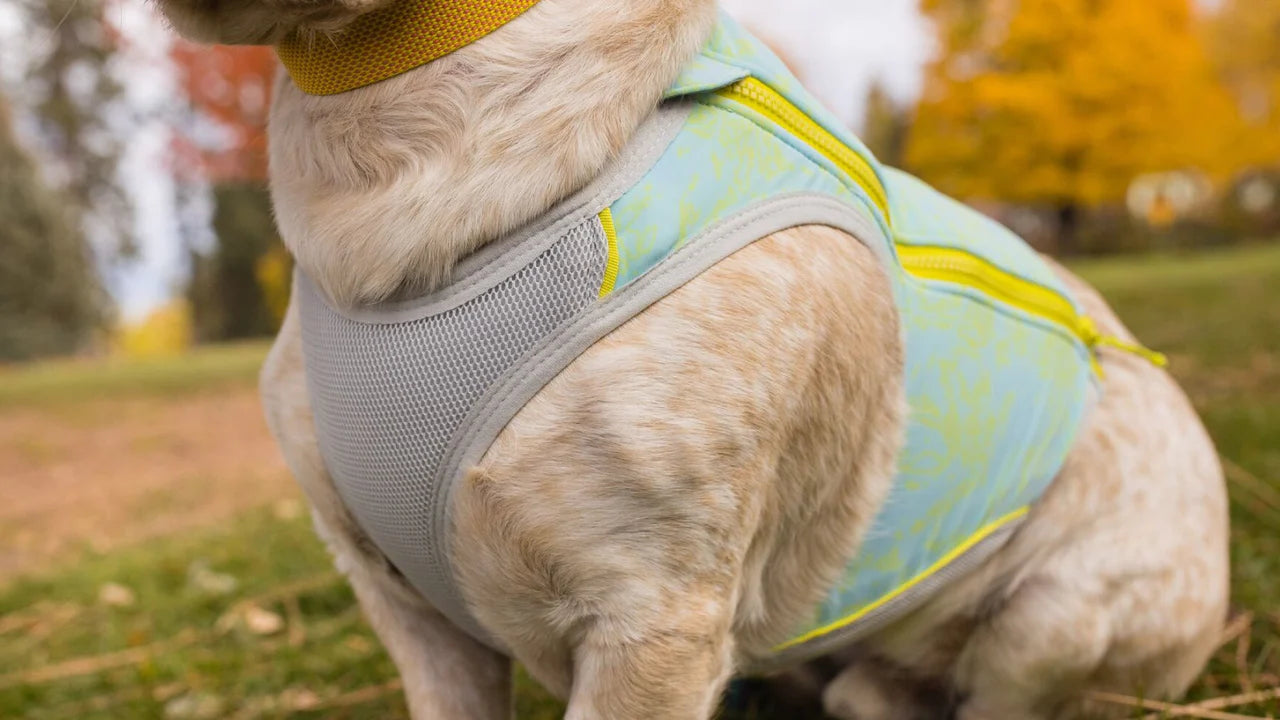 Ruffwear - Swamp Cooler Zip Vest *CLEARANCE*FINAL FEW LEFT*