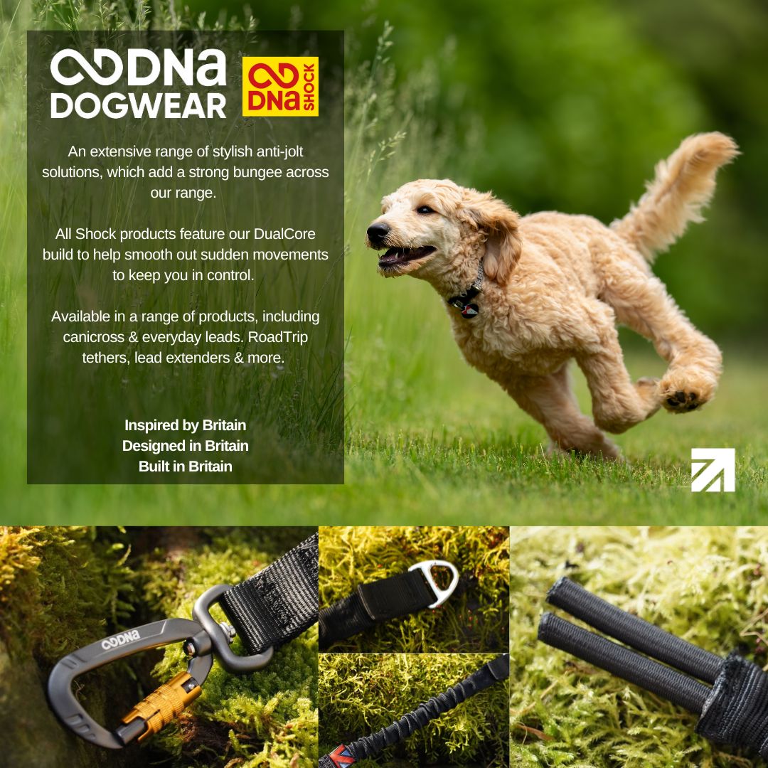 DNA - Shock Duo - Double Dog Lead Coupler