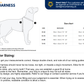 Hurtta - Rover Harness