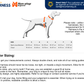 Non-stop - Line Harness v5.0