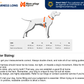 Non-stop - Ramble Harness Long