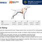 Non-stop - Rock Harness