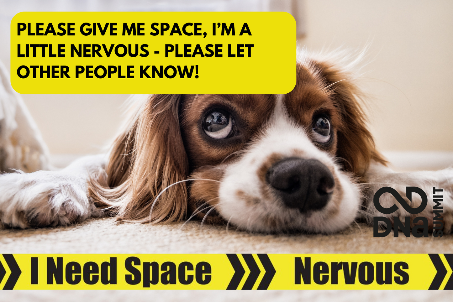 DNA - Signs Pro Lead - "I Need Space - Nervous"