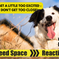 DNA - Signs Pro Lead - "I Need Space - Reactive"