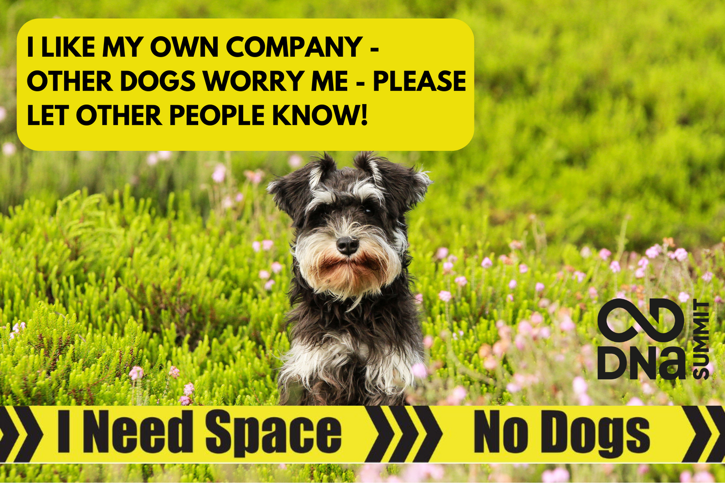 DNA - Signs Pro Lead - "I Need Space - No Dogs"
