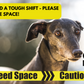 DNA - Signs Pro Lead - "I Need Space - Caution"