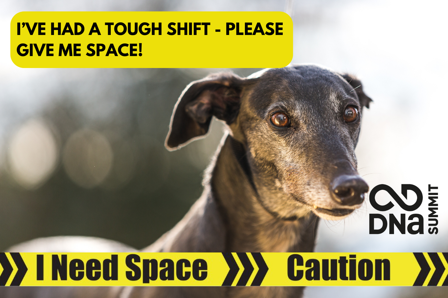 DNA - Signs Pro Lead - "I Need Space - Caution"
